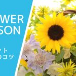 【バスケットアレンジ】ハンドルの見せ方でお洒落にHow to make a flower arrangement