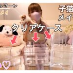 【メイクボックス】ニトリで可愛いクリアケースを買いました！！メインクーンの子猫もいるよ♪【ゆんゆん】