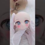 キャットアイが可愛い子メイクしました🐱ドールメイク DDH-01 カスタムヘッド（doll make）