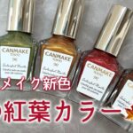 キャンメイク秋新色が可愛い💅🍁全部限定色だよ💓